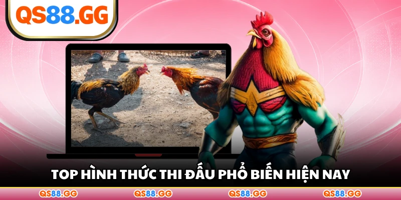 Top hình thức thi đấu phổ biến hiện nay